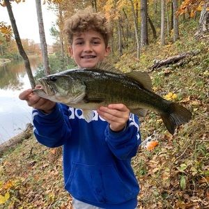 Meet your Posher, Sim